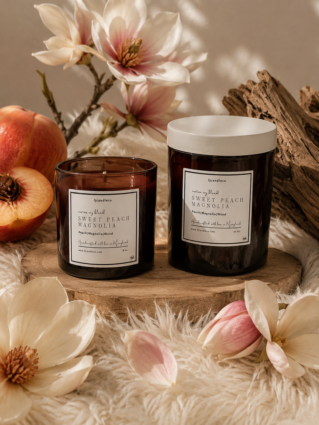 Sweet Peach Magnolia