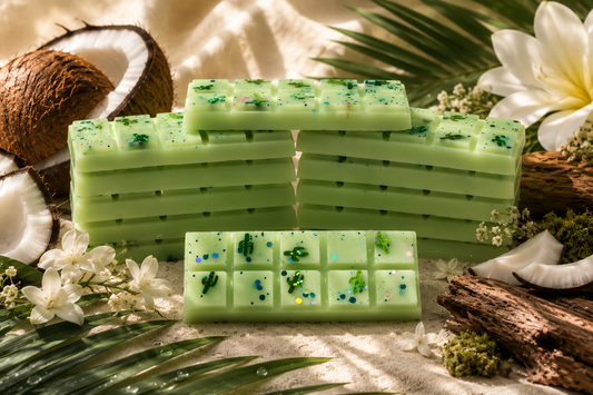 LJ Candle Co Cactus Dreams wax melts in a clear container with cactus and desert plant design, showcasing a tropical scent.